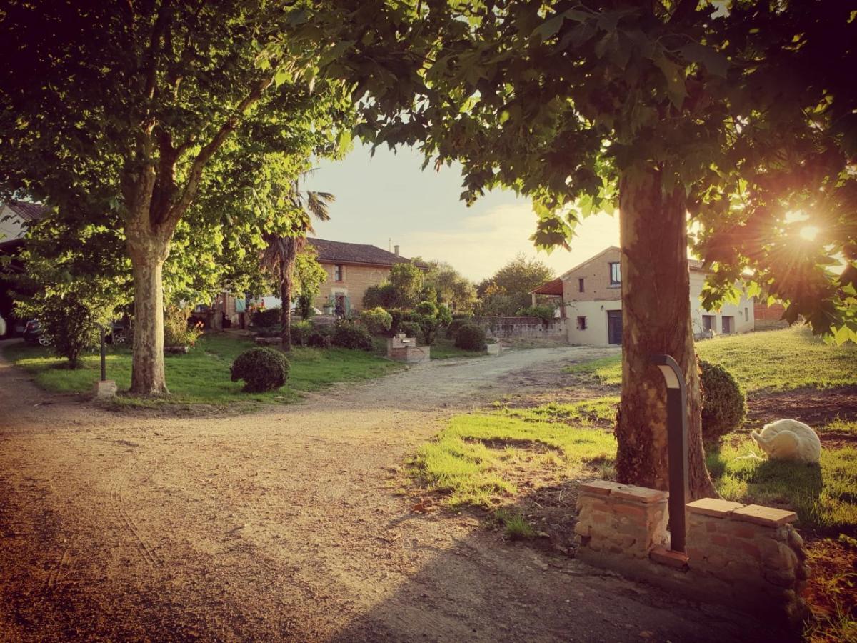 Domaine Des Jammetous - Hotel And Yoga Retreat Center La Magdelaine-Sur-Tarn 외부 사진