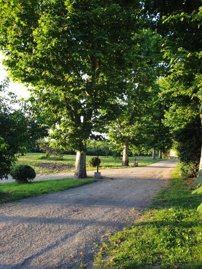 Domaine Des Jammetous - Hotel And Yoga Retreat Center La Magdelaine-Sur-Tarn 외부 사진